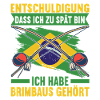 Capoeira Capoeirista