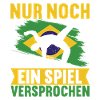 Capoeira Capoeirista