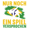 Capoeira Capoeirista