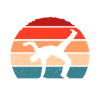 Capoeira Capoeirista