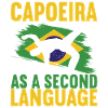 Capoeira Capoeirista