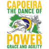 Capoeira Capoeirista