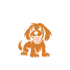 Humour Chien cocker