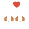 Humour Chien cocker