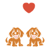 Humour Chien cocker