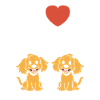 Humour Chien cocker