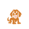 Humour Chien cocker