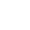 Bull Terrier dans l’âme