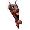 Doberman