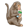 Biberon Monkey