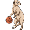 Suricate Joueur de basket-ball Basket-ball