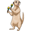 Suricate Musicien Maracas Musique