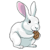 Bunny Cookie