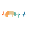 Pig heartbeat