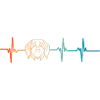 Shih Tzu heartbeat