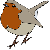 Robin