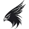Eagle Bird of Prey Head