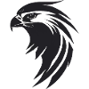 Eagle Bird of Prey Head