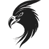 Adler Greifvogel Kopf