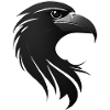 Eagle Bird of Prey Head