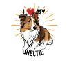 I Love My Sheltie