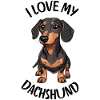 I love My Dachshund
