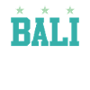 Circuits à Bali 2024