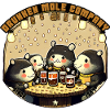 Drunken Mole Company