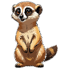 Suricate Illustration Mignonne