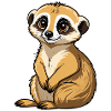 Suricate Illustration Mignonne