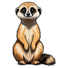 Meerkat Cute Illustration