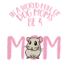 Chinchilla
