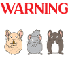 Chinchilla