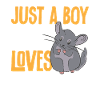 Chinchilla