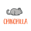 Chinchilla