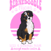 Bernedoodle Hund