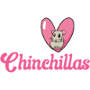 Chinchilla