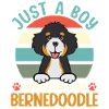 Bernedoodle Hund