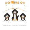 Bernedoodle Hund