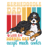 Bernedoodle Hund