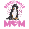 Bernedoodle Dog
