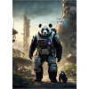 Panda from the future