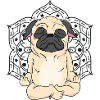 French Bulldog Yoga & Meditation