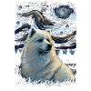 Samoyed Starry Night