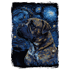 Presa Canario Starry Night