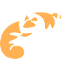 Baby Sleeping Cat