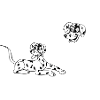 Dalmatian
