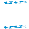 FCK Preißen