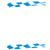 FCK Radler fahne