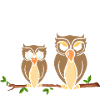 Owl Yes